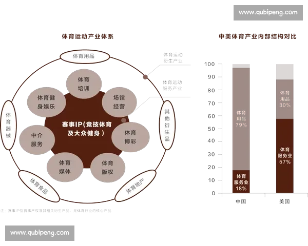 高校体育团队组织管理模式创新与发展研究探索 高校体育团队组织管理模式创新与发展研究探索