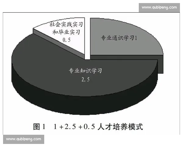 体育管理创新模式与实践策略研究探索与应用分析 体育管理创新模式与实践策略研究探索与应用分析